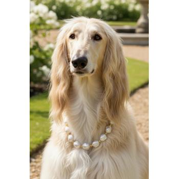 İncili Köpek Kolye - Tasma - Collar