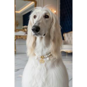 İncili Köpek Kolye- Tasma - Collar