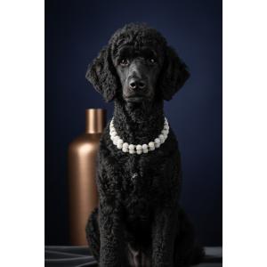 Blueberry Collar Tasma Necklace 