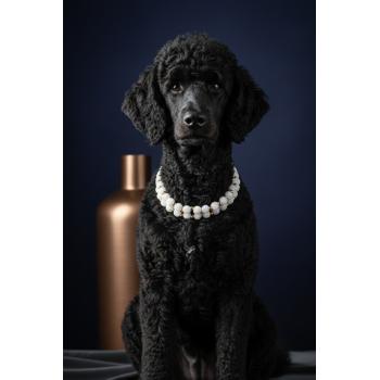 Blueberry Collar Tasma Necklace 