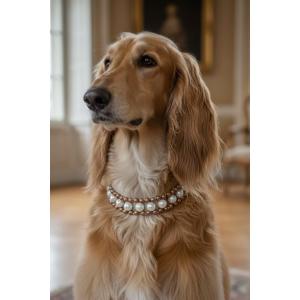 Pearl Collar Tasma Necklace 