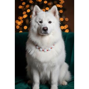 Blueberry Collar Tasma Necklace 