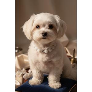 Blueberry Collar Tasma Necklace 