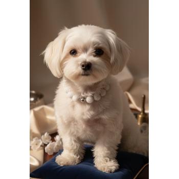 Blueberry Collar Tasma Necklace 